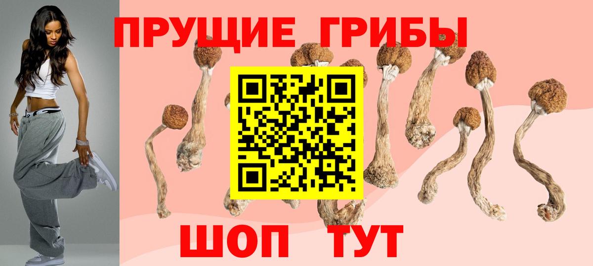 Псилоцибиновые грибы ЛСД  Вход с VPN  Калининград 